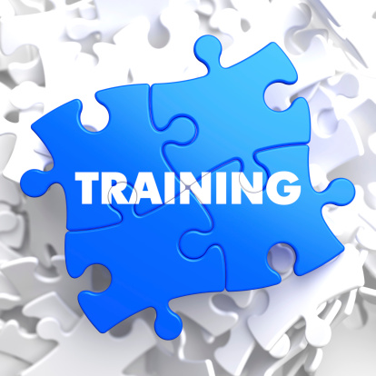Training on Blue Puzzle.