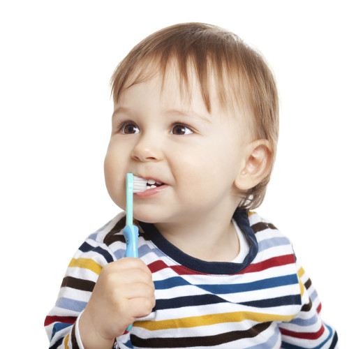 Adorable one year old child learning to brush teeth, isolated on white